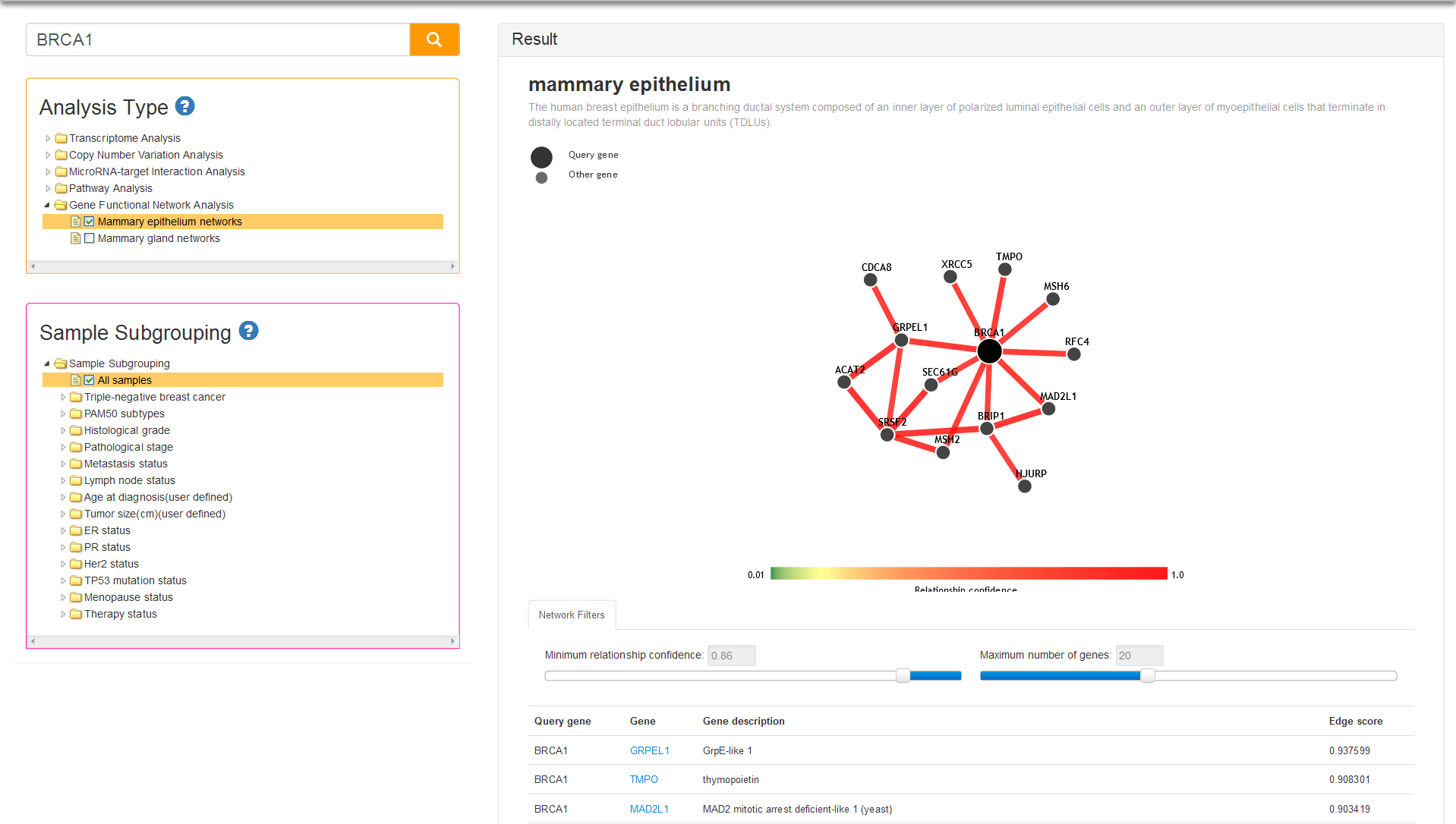 Mammary epithelium-specific gene functional network of BRCA1